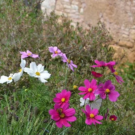 Casa Gildo 1828 別荘 ヴァルダーニョ